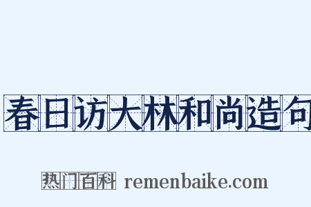 春日访大林和尚造句是什么意思的图片